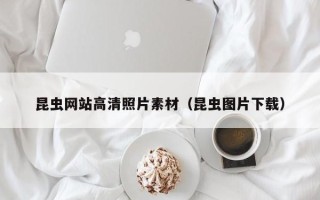 六安昆虫网站高清照片素材（昆虫图片下载）